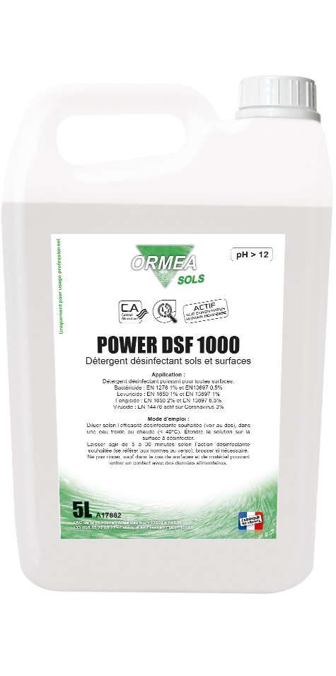 POWER DSF 1000 Bidon 5L